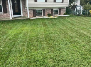 Jordan C.'s Lawn Mowing service result