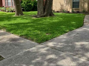 Temmesce P.'s Lawn Mowing service result