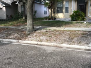 Leaf Removal by William Chavers for Mirsad D. in Riverview, FL