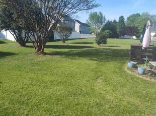 Nancy M.'s Grass Cutting service result
