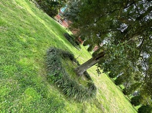 Weeding by Quincy D. for Rachel H. in Charlotte, NC