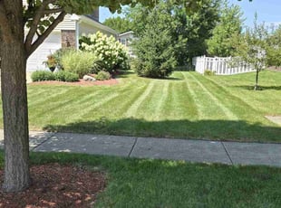 Marissa L.'s Lawn Mowing service result