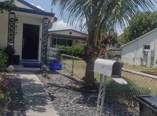 Bush Trimming by Shaun Whitehead for Paul Z. in Lake Worth, FL