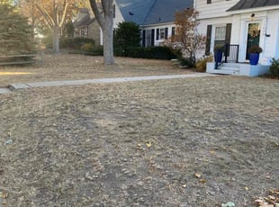 Leaf Removal by Matson Courrier for Kathleen V. in Minneapolis, MN