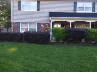 Bush Trimming by Gary Cooper for Amanda M. in Virginia Beach, VA