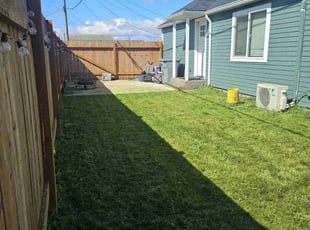 Irene B.'s Lawn Mowing service result