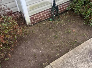 Weeding by Merari Albarran for Dennis M. in Apex, NC