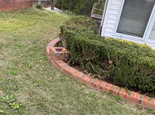 Bush Trimming by Jackie Dixon for Trent G. in Birmingham, AL