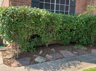 Bush Trimming by Melvin Hudson for Mike S. in Baytown, TX
