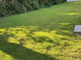 Gina S.'s Lawn Mowing service result