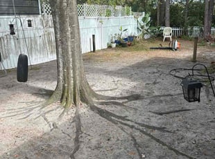 Leaf Removal by Charles Howard for Roberto M. in Tampa, FL