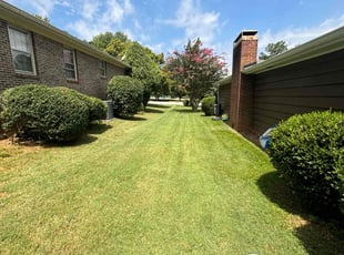 Starkema Y.'s Grass Cutting service result