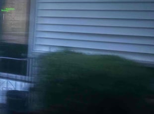 Bush Trimming by Marquis Coleman for Jackie W. in Affton, MO