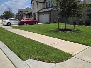 Debi D.'s Lawn Care service result