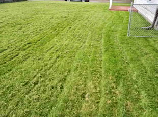 Cleanups by De'von Wardlow-Williams for Amy A. in Milwaukee, WI