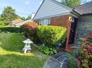 Bush Trimming by Amber Fuentes for Patricia W. in Washington, DC