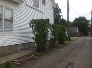 Bush Trimming by David Gallaway for Milady T. in Saint Paul, MN