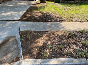 Leaf Removal by Lacy Dixon for Maggie S. in San Antonio, TX