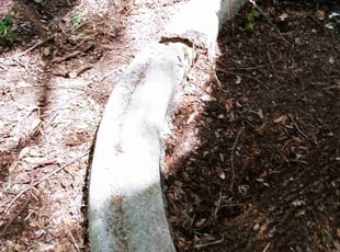 Leaf Removal by Terrence Wilburn for Rita H. in Bellaire, TX