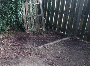 Leaf Removal by Jeryl Scott for Darlena W. in Tallahassee, FL
