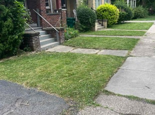 Lynn G.'s Lawn Care service result