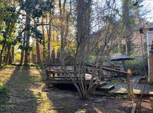 Leaf Removal by Conner Meadows for Jalen W. in Marietta, GA