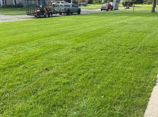 Aji O.'s Lawn Care service result