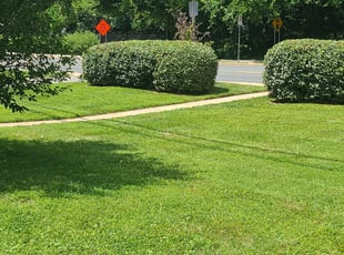 Bush Trimming by Ramiro Soriano for Shohei N. in Bethesda, MD