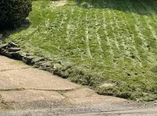 Bush Trimming by Glen Moore for Burden F. in Pittsburgh, PA