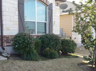 Bush Trimming by Geovanni Vargas for Dan S. in Austin, TX