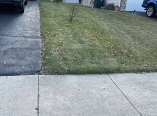 Leaf Removal by Israel Chavez for Pamela R. in Lombard, IL