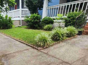 Eliza L.'s Lawn Care service result