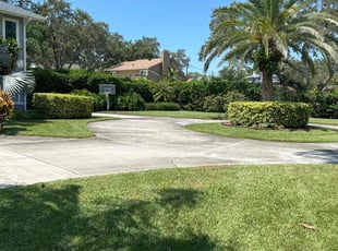 Bruce H.'s Lawn Mowing Service service result