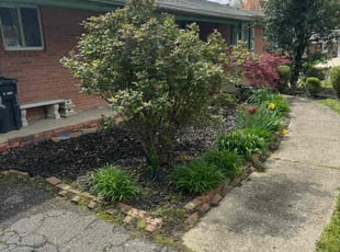 Cleanups by Maria Morais for kathleen d. in Adelphi, MD
