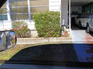 Bush Trimming by Cody Shawders for Grace M. in Clearwater, FL