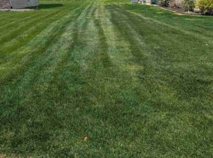 Martin L.'s Lawn Care service result