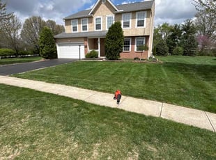 Ann H.'s Lawn Care service result