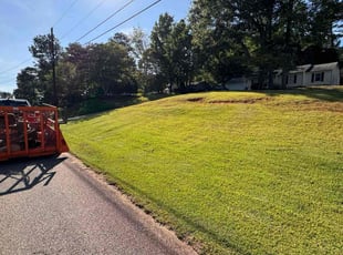 Keith F.'s Lawn Mowing service result