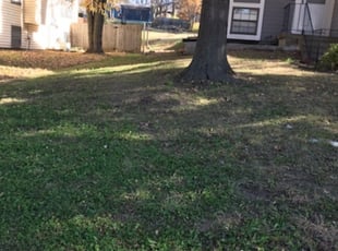 Leaf Removal by Jose Palos for Faith R. in Shawnee, KS