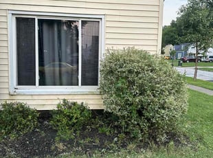 Bush Trimming by Otis Brown for Lindsey L. in Euclid, OH