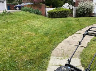 Richard L.'s Lawn Mowing Service service result