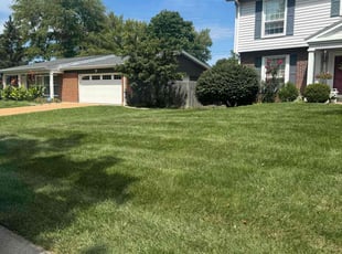 Tonya C.'s Lawn Mowing service result