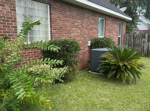 Mitsybella M.'s Lawn Care service result