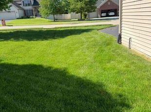 Erik H.'s Yard Cutting service result