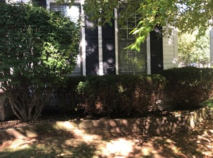 Bush Trimming by James Skivers for Ryan D. in Leawood, KS