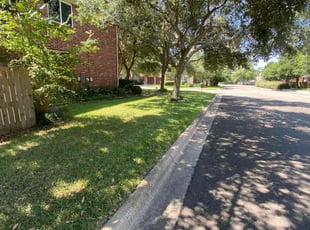 Randy S.'s Lawn Care service result