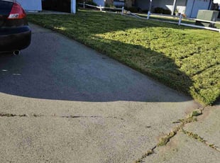 Emmett W.'s Cleanups service result