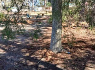 Leaf Removal by Daryl Jones for Kevin A. in Wendell, NC