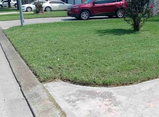 Joshua Y.'s Lawn Mowing service result