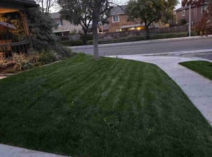 Mary B.'s Lawn Mowing service result